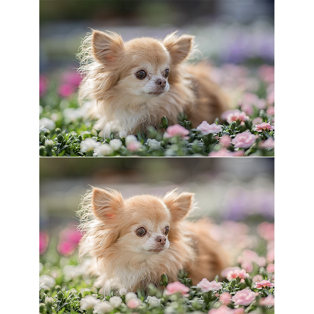 voor-na-1-light-flower