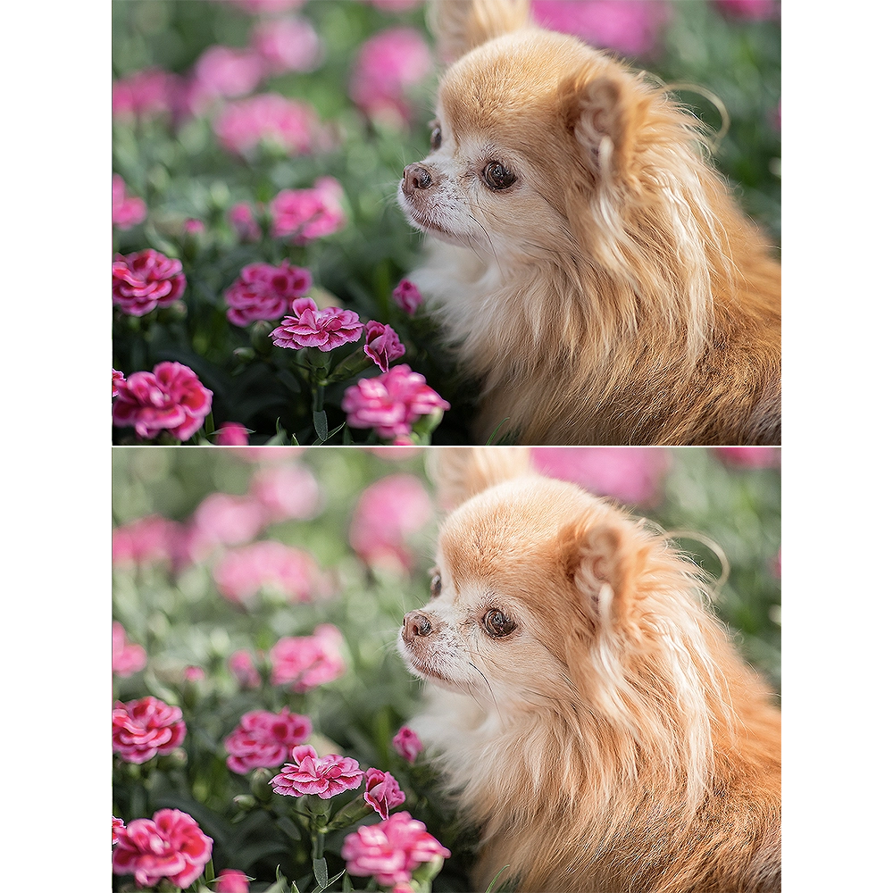 voor-na-2-light-flower